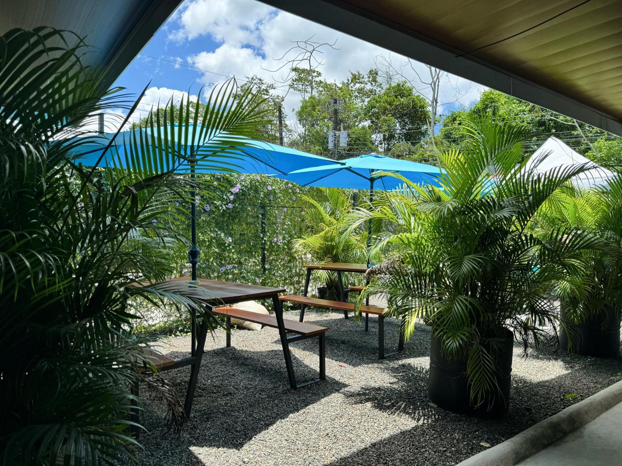 Pura Vibra Hostel La Fortuna Exteriör bild